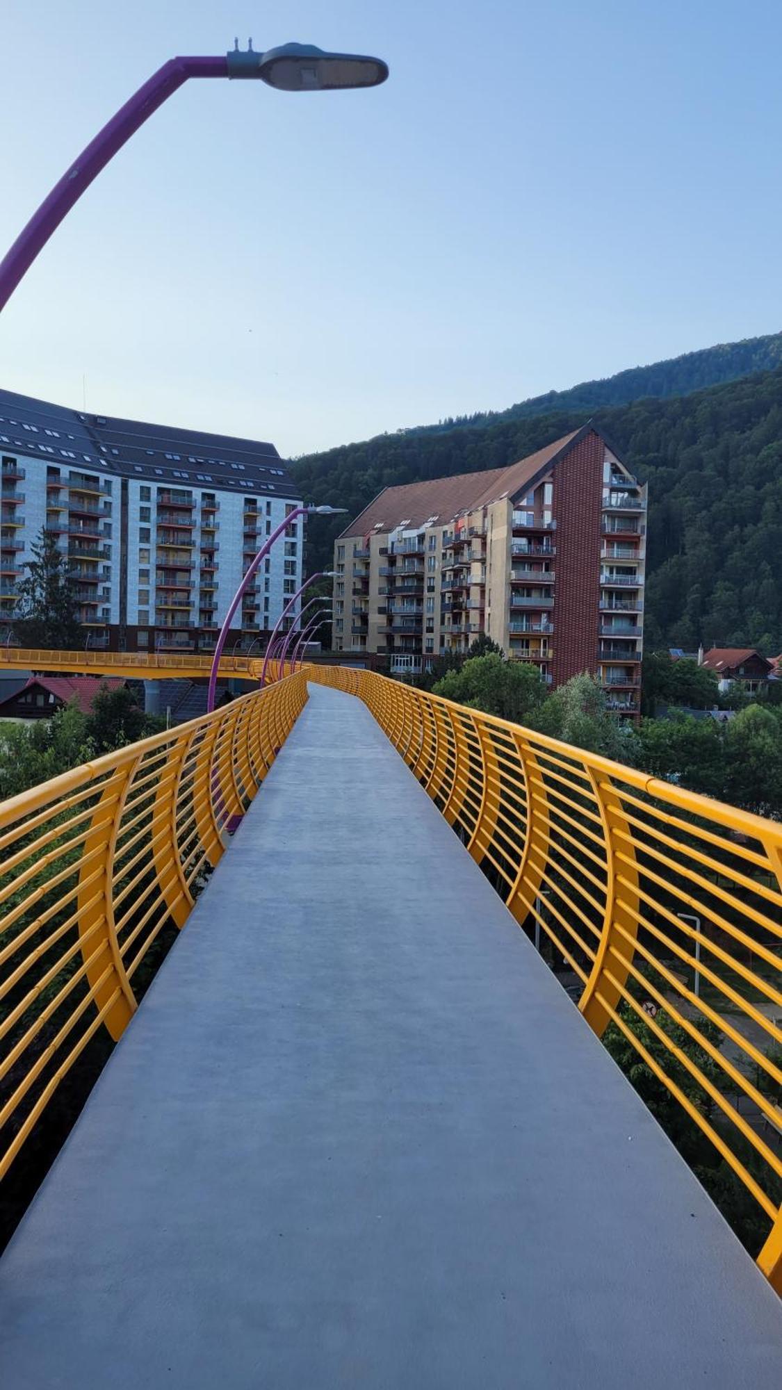 Belleview Family Apartment Sinaia Exteriér fotografie